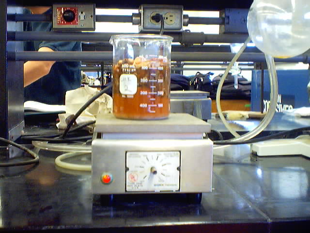 lab022103_0006.jpg